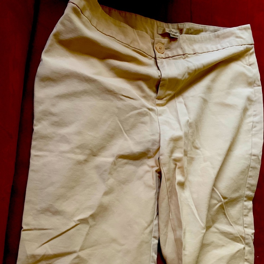 Tan Shorts Size 10